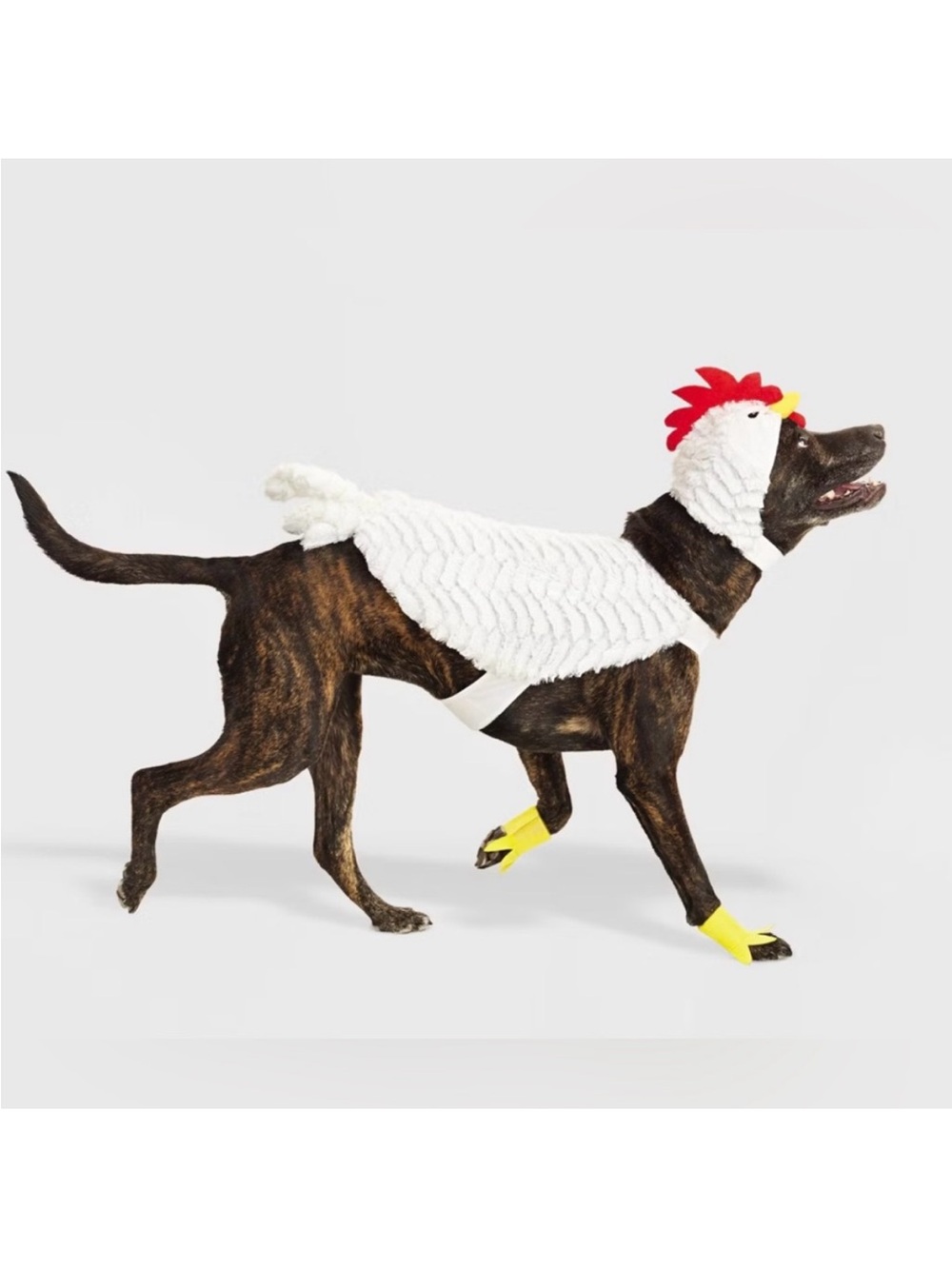 Hyde and Eek Chicken Costume for Dogs & Cats - White & Yellow Pet Outfit
